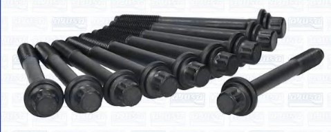 Болт ГБЦ комплект 10 шт. 81024100