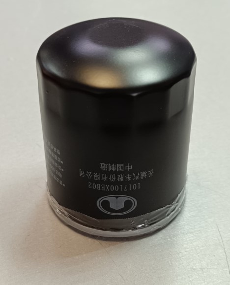 Фильтр маслянный HAVAL F7,F7x,H6 1.5 1017100XEB02 Оригинал